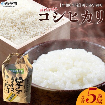<令和7年産:西予市宇和町産特別栽培米コシヒカリ5kg>　コメ　ご飯　ごはん　特産品