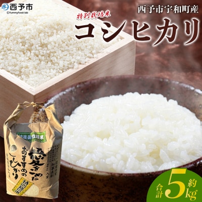 <令和7年産:西予市宇和町産特別栽培米コシヒカリ5kg>　コメ　ご飯　ごはん　特産品