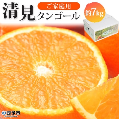 <愛媛県西予市産　清見タンゴール　ご家庭用　7kg>　柑橘　果物　フルーツ　果実　特産品