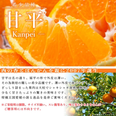 愛媛県西予市産　甘平　ご家庭用　7kg