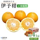 <愛媛県西予市産　伊予柑　ご家庭用　4kg>　柑橘　特産　果物　フルーツ　いよかん