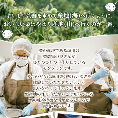 <栗のテリーヌ>　スイーツ　お菓子　和栗　マロン　ペースト 愛媛産
