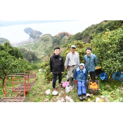 <愛媛県明浜産せとか(2.0kg)>　柑橘　フルーツ　果物　果実　西予市　セトカ