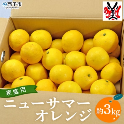<愛媛県明浜産ニューサマーオレンジ(3kg)>　柑橘　特産品　果物　フルーツ　果実　西予市