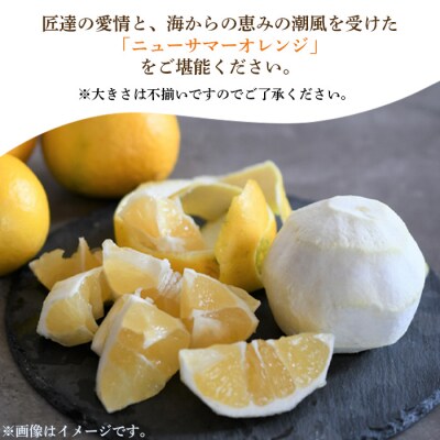 <愛媛県明浜産ニューサマーオレンジ(3kg)>　柑橘　特産品　果物　フルーツ　果実　西予市