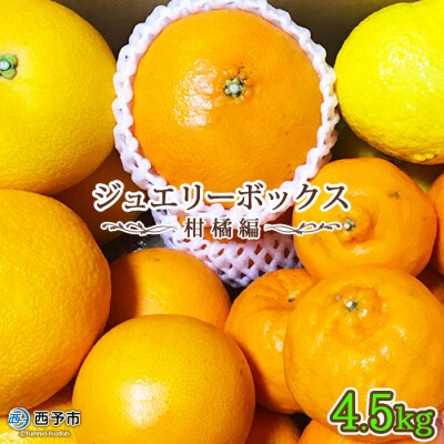 愛媛県明浜産ジュエリーボックス(柑橘編)4.5kg【1月配送】