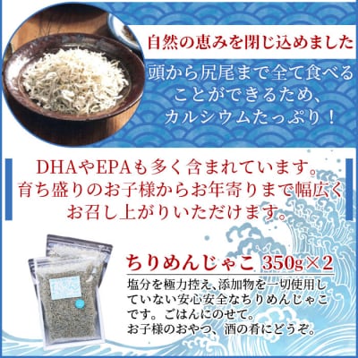 【網元直送　天日干し　無添加】お徳用ちりめん　350g×2　訳あり