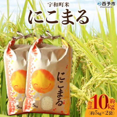 <令和7年産:西予市宇和町産　にこまる10kg(5kg×2袋)>　コメ　ゴハン　ご飯　特産品