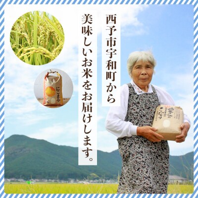 <令和7年産:西予市宇和町産　にこまる10kg(5kg×2袋)>　コメ　ゴハン　ご飯　特産品