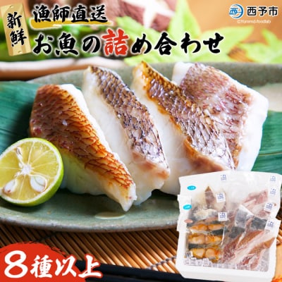 <漁師直送　新鮮お魚の詰め合わせ(愛媛県西予市明浜産)>　海産　魚介　食べ比べ