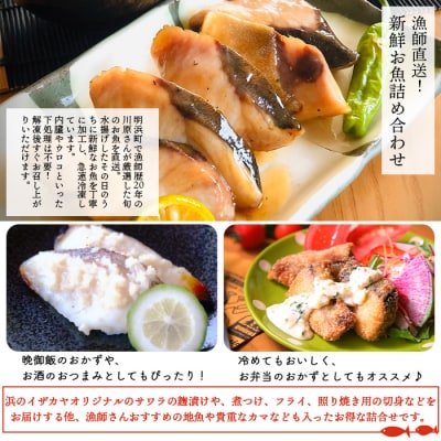 <漁師直送　新鮮お魚の詰め合わせ(愛媛県西予市明浜産)>　海産　魚介　食べ比べ