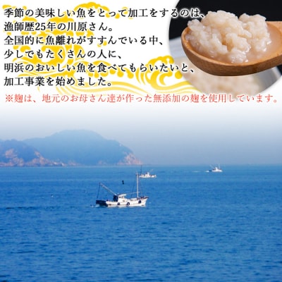 <漁師直送　新鮮お魚の詰め合わせ(愛媛県西予市明浜産)>　海産　魚介　食べ比べ