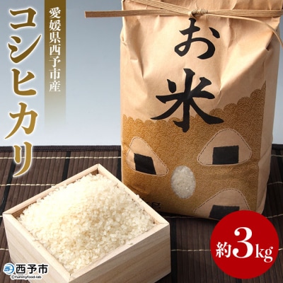 愛媛県西予市産 お米コシヒカリ3kg 愛媛 宇都宮物産 コメ 白米 精米
