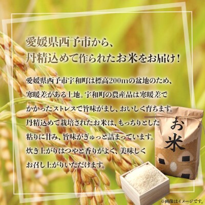 【先行受付】愛媛県西予市産 お米コシヒカリ3kg 愛媛 宇都宮物産 コメ 白米 精米