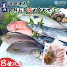 漁師直送　夏の新鮮お魚詰め合わせ(愛媛県西予市明浜産)