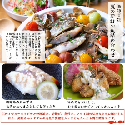 漁師直送　夏の新鮮お魚詰め合わせ(愛媛県西予市明浜産)