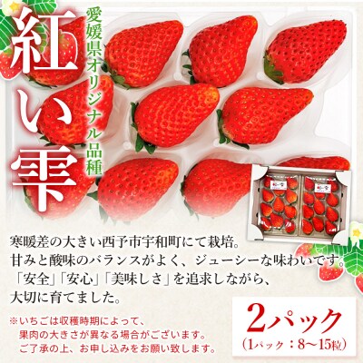 西予市宇和町産　谷口農園のいちご(紅い雫)2パックと紅マドンナジュースのセット