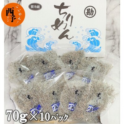 漁師さん自慢のちりめんじゃこ　毎日の食卓においしいカルシウムを!! | ふるさと納税のお礼品