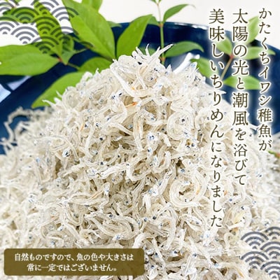 <井上のちりめん味比べセット>　チリメン　海産　魚介　水産　西予　明浜　栄養