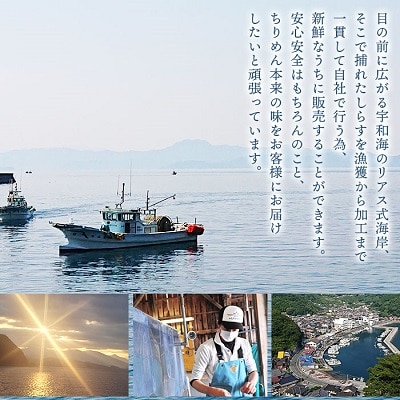 <井上のちりめん味比べセット>　チリメン　海産　魚介　水産　西予　明浜　栄養