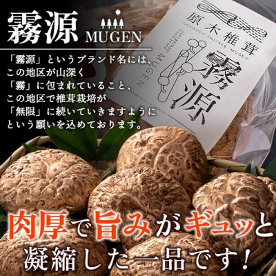 <ブランド原木椎茸「霧源(MUGEN)」乾燥約150g(5〜8枚)ご家庭用>　きのこ　キノコ　野菜