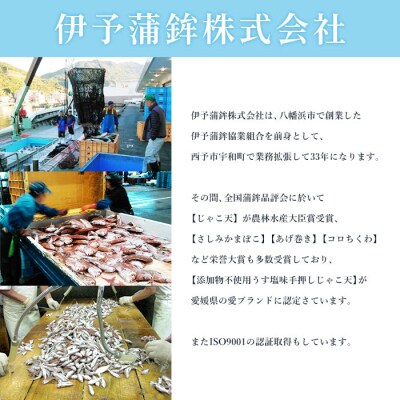 <伊予蒲鉾　無添加じゃこ天と無添加かまぼこセット>　天ぷら　練り物　おつまみ　魚介　郷土料理