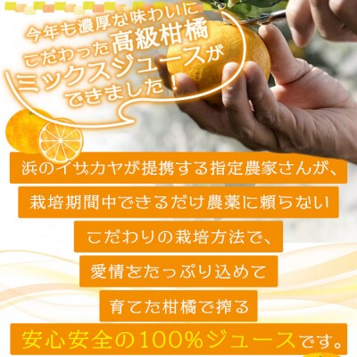 <濃厚!今年のミックスジュース　3本セット【愛媛県西予市明浜産】>　柑橘　フルーツ　果汁　飲料