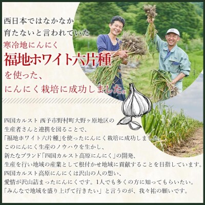 <四国カルスト高原にんにくバラエティセット　3種>　詰合せ　食べ比べ　ドレッシング　ニンニク　高地