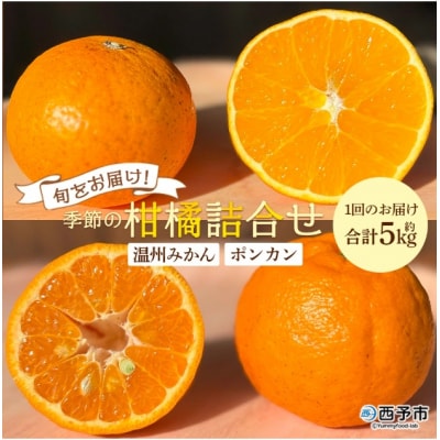 【先行受付】<旬をお届け!季節の柑橘 2回定期便(温州みかん・ポンカン>ミカン 