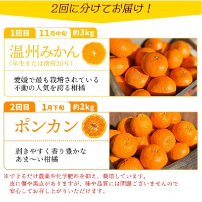 【先行受付】<旬をお届け!季節の柑橘 2回定期便(温州みかん・ポンカン>ミカン 