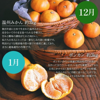 無茶々園の柑橘頒布会(全7回)