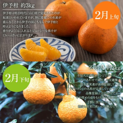 無茶々園の柑橘頒布会(全7回)