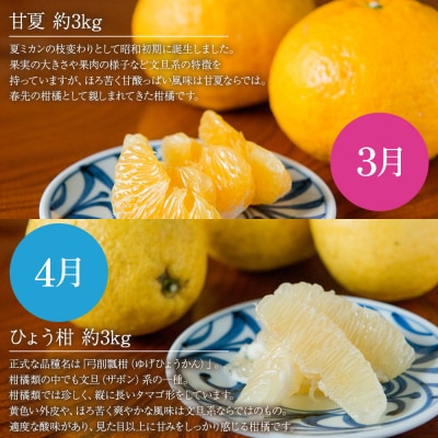 無茶々園の柑橘頒布会(全7回)