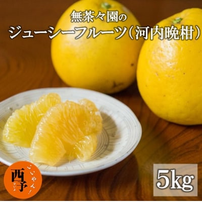無茶々園のジューシーフルーツ(河内晩柑)5kg
