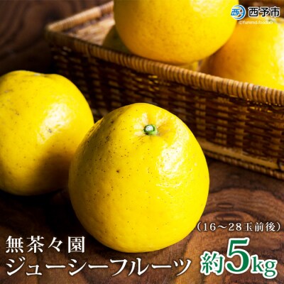 【先行受付】<無茶々園のジューシーフルーツ(河内晩柑)5kg>　果物　フルーツ　柑橘　愛媛　期間限定
