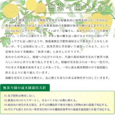 【先行受付】<無茶々園のジューシーフルーツ(河内晩柑)5kg>　果物　フルーツ　柑橘　愛媛　期間限定