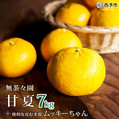 <無茶々園の甘夏 7kg>　果物　フルーツ　柑橘　愛媛　皮むき器　期間限定