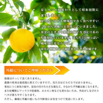 <無茶々園の甘夏 7kg>　果物　フルーツ　柑橘　愛媛　皮むき器　期間限定