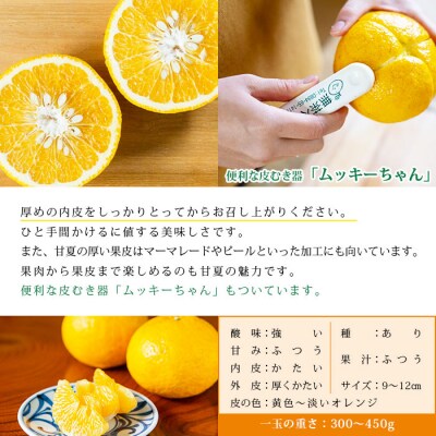 <無茶々園の甘夏 7kg>　果物　フルーツ　柑橘　愛媛　皮むき器　期間限定
