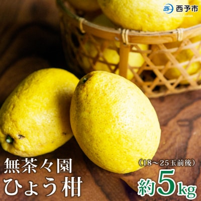 <無茶々園のひょう柑 5kg>　果物　フルーツ　ひょうかん　愛媛　柑橘　