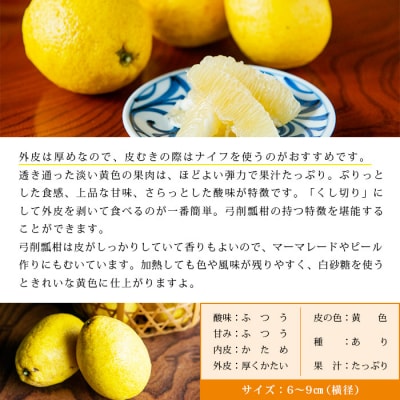 <無茶々園のひょう柑 5kg>　果物　フルーツ　ひょうかん　愛媛　柑橘　