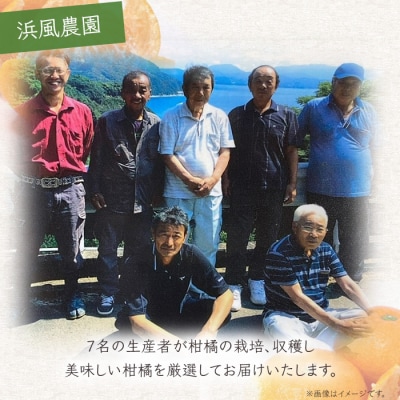 浜風みかん 宮川早生 5kg
