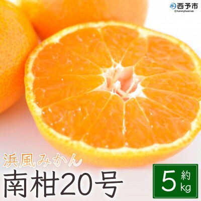浜風みかん　南柑20号　5kg