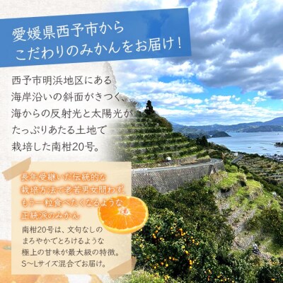 浜風みかん　南柑20号　5kg