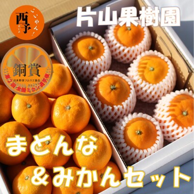 とびっきりの愛媛片山果樹園　まどんな&みかんセット
