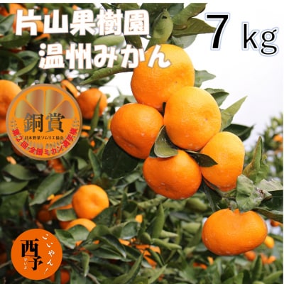 とびっきりの愛媛片山果樹園　温州みかん7kg(家庭用大小混合)