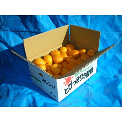とびっきりの愛媛片山果樹園　温州みかん7kg(家庭用大小混合)