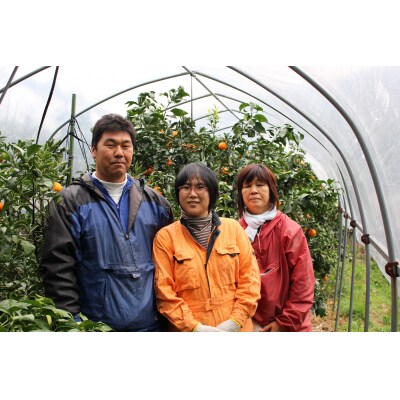 とびっきりの愛媛片山果樹園　温州みかん7kg(家庭用大小混合)