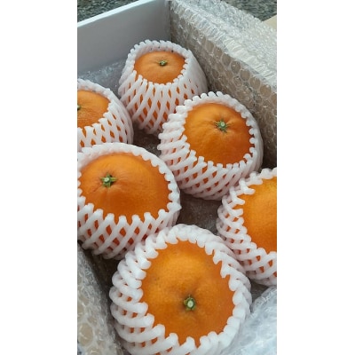 とびっきりの愛媛片山果樹園　まどんな6玉