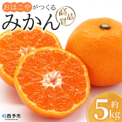 【先行受付】おはこやがつくる　高品質みかん　5kg